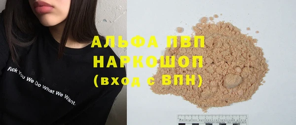 эйфоретик Баксан