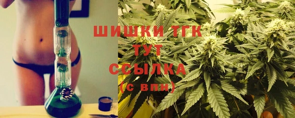 эйфоретик Баксан