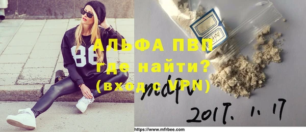 эйфоретик Баксан