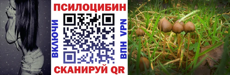 Псилоцибиновые грибы GOLDEN TEACHER hydra ТОР Свирск